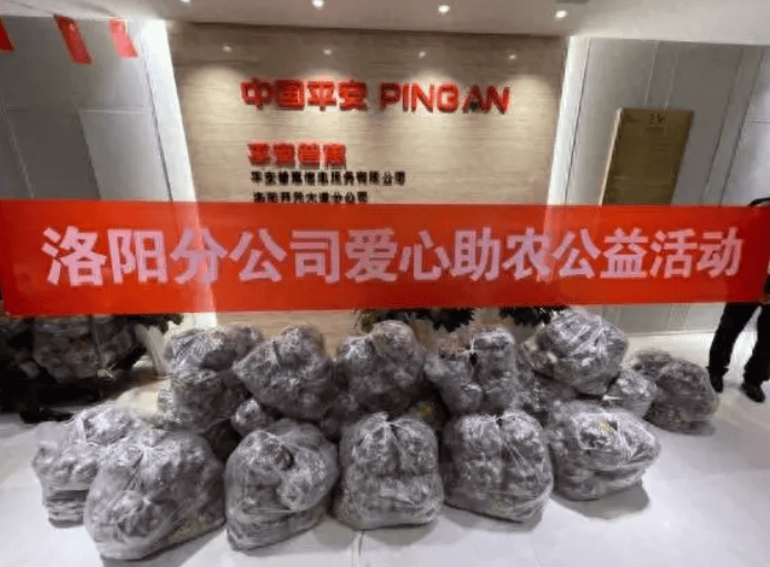 招联消费金融客服电话人工客服 招联消费金融客服电话人工客服